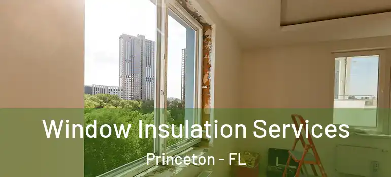  Window Insulation Services Princeton - FL