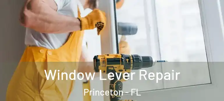  Window Lever Repair Princeton - FL