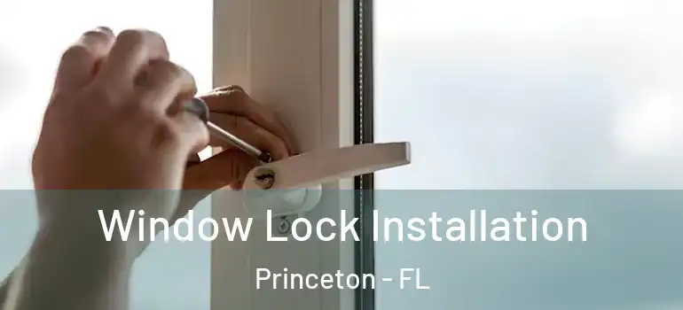  Window Lock Installation Princeton - FL