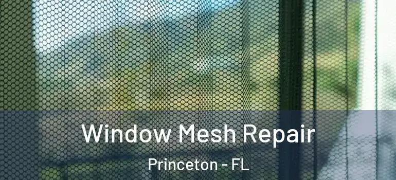  Window Mesh Repair Princeton - FL