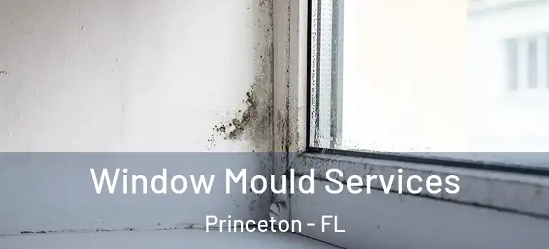  Window Mould Services Princeton - FL