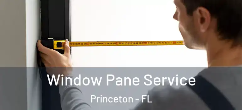  Window Pane Service Princeton - FL