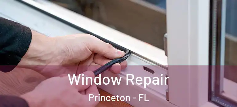  Window Repair Princeton - FL