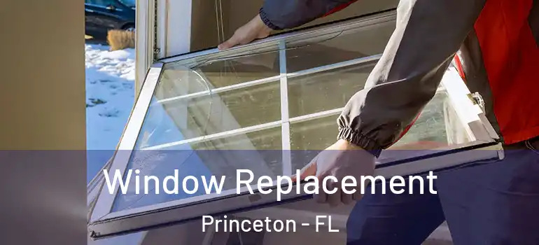 Window Replacement Princeton - FL