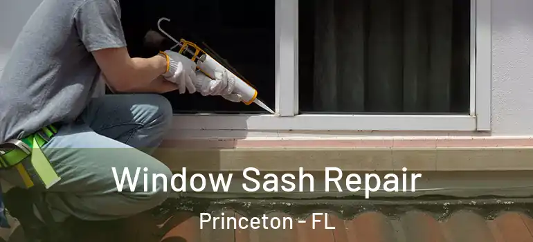  Window Sash Repair Princeton - FL