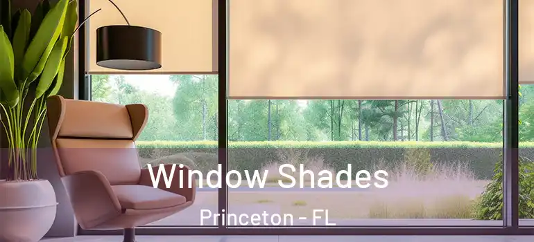  Window Shades Princeton - FL