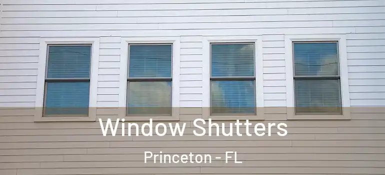  Window Shutters Princeton - FL
