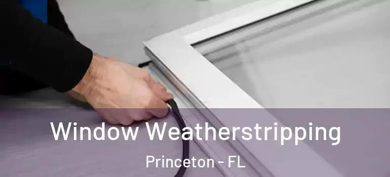  Window Weatherstripping Princeton - FL