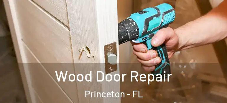  Wood Door Repair Princeton - FL
