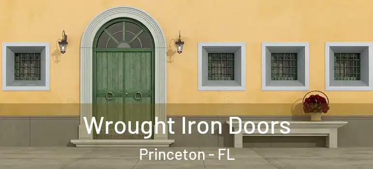  Wrought Iron Doors Princeton - FL